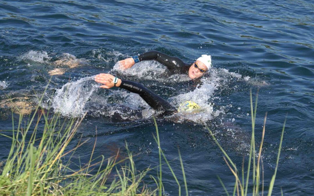 Poročilo s tekem daljinskega plavanja 2015